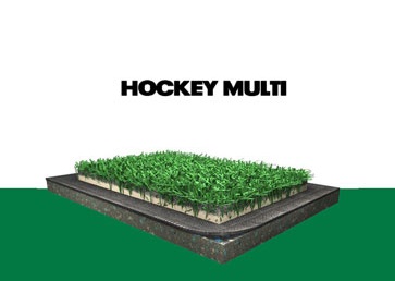 hockey-multi